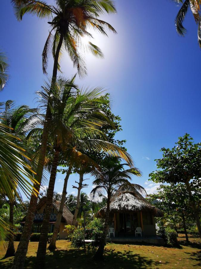 Hotel Playa Mandala Palomino Luaran gambar