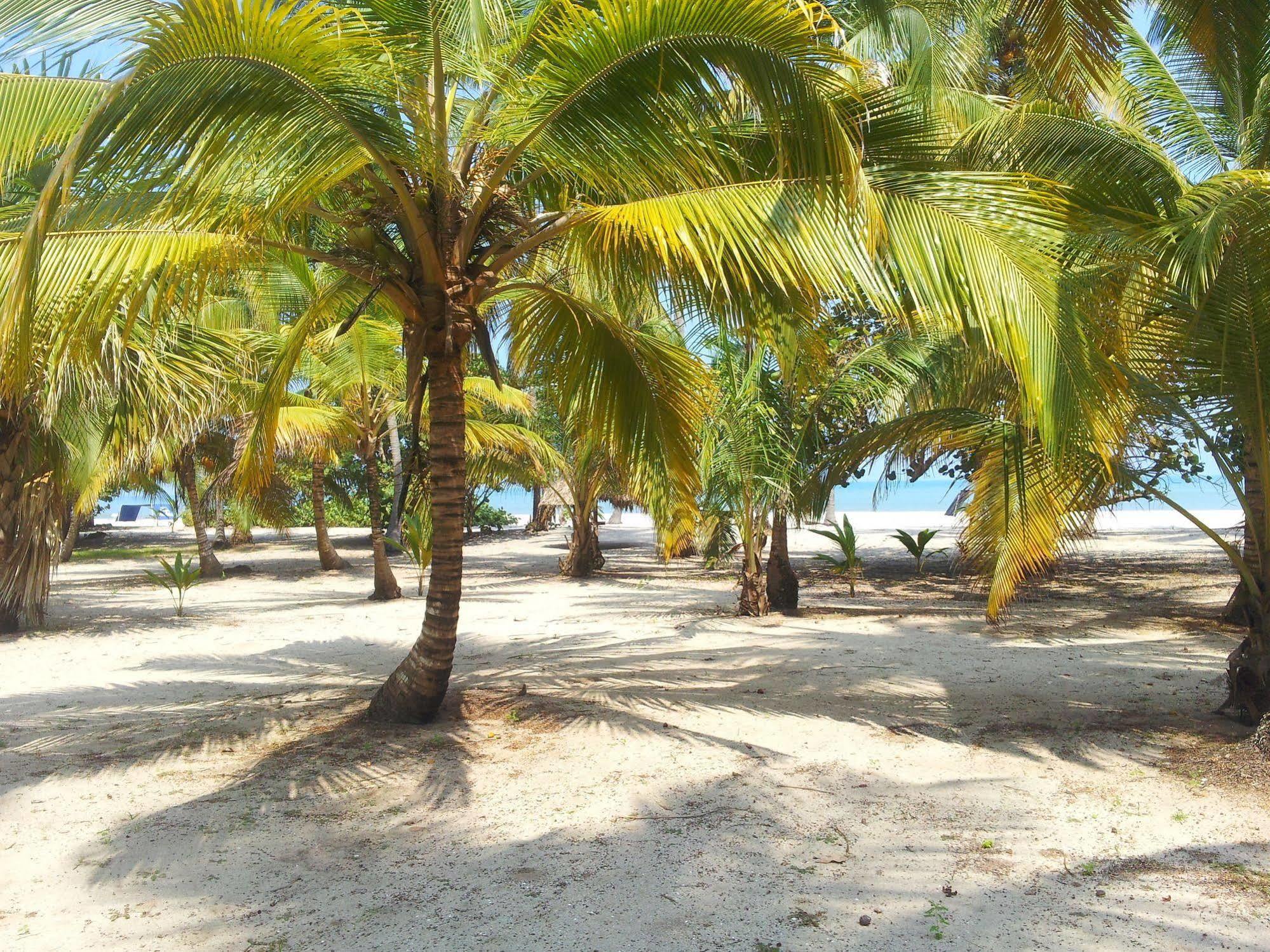 Hotel Playa Mandala Palomino Luaran gambar