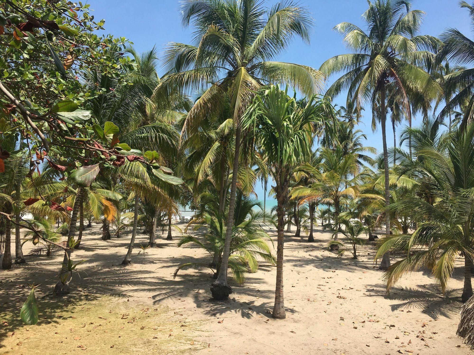 Hotel Playa Mandala Palomino Luaran gambar
