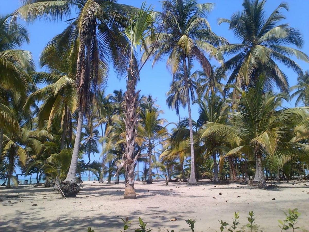 Hotel Playa Mandala Palomino Luaran gambar