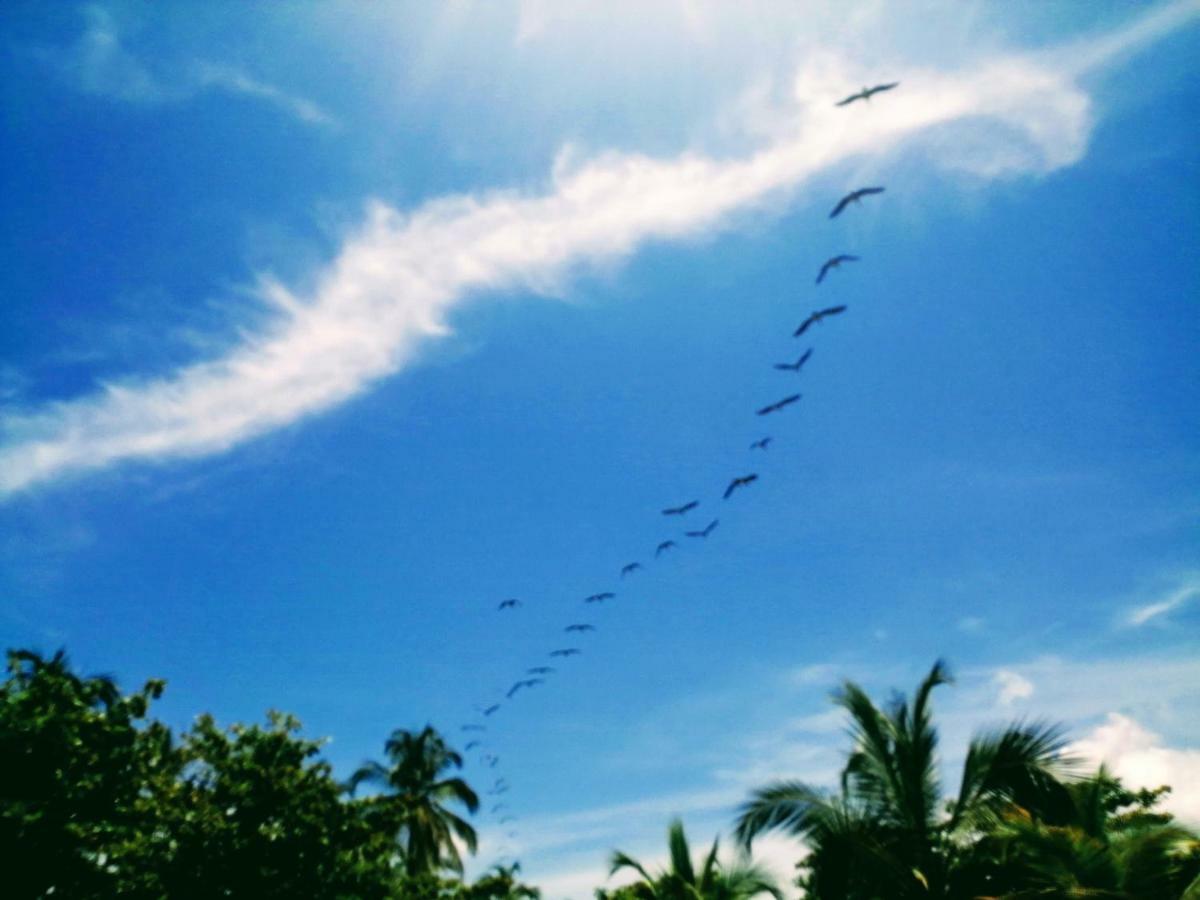 Hotel Playa Mandala Palomino Luaran gambar